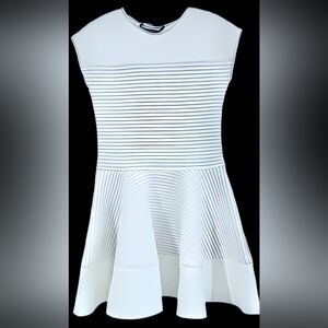 White Scuba Fit-and-Flare Dress